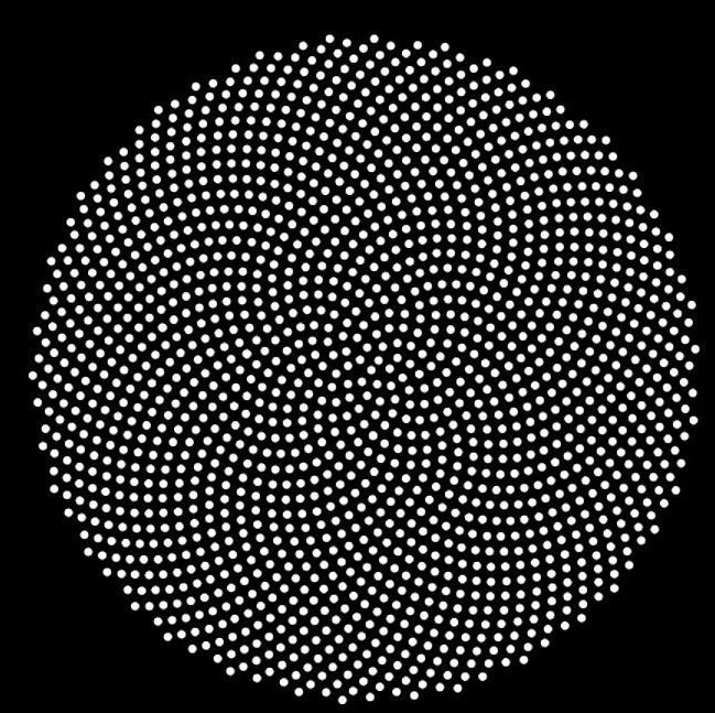 A black and white circular field of dotted wave patterns